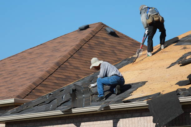 Best Skylight Installation and Repair  in Lakemore, OH